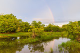Rainbow at Yagrumito river in Aguaro-Guariquito National Park, Guarico state, Venezuela.