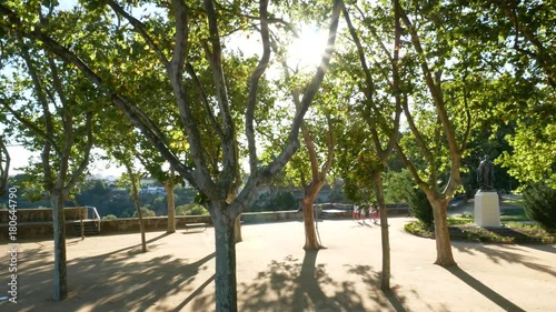 Family walk through the park