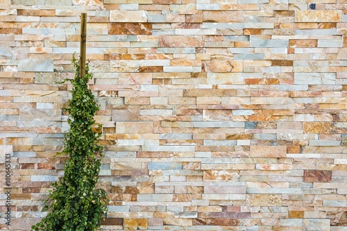 colorful modern natural stone brick wall with plant texture background
