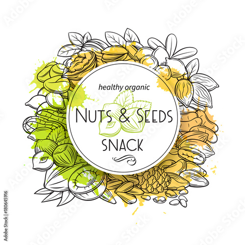 hand drawn nuts and seeds