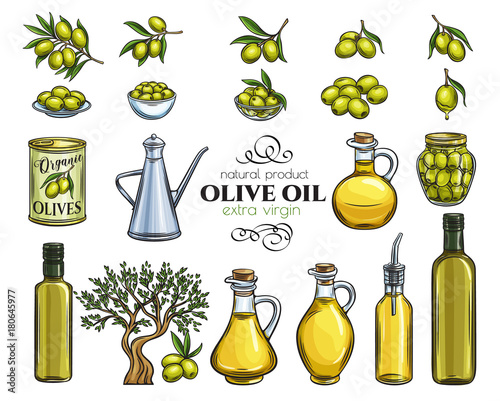 set sketch olive oil