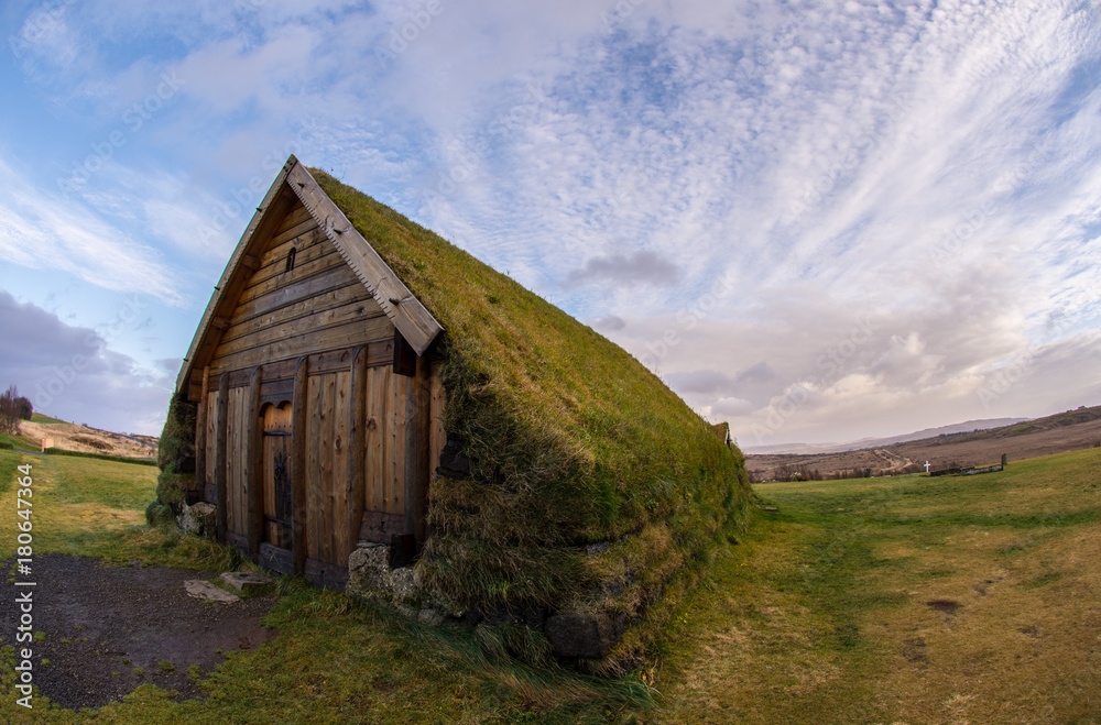 The Grass House The Grass House