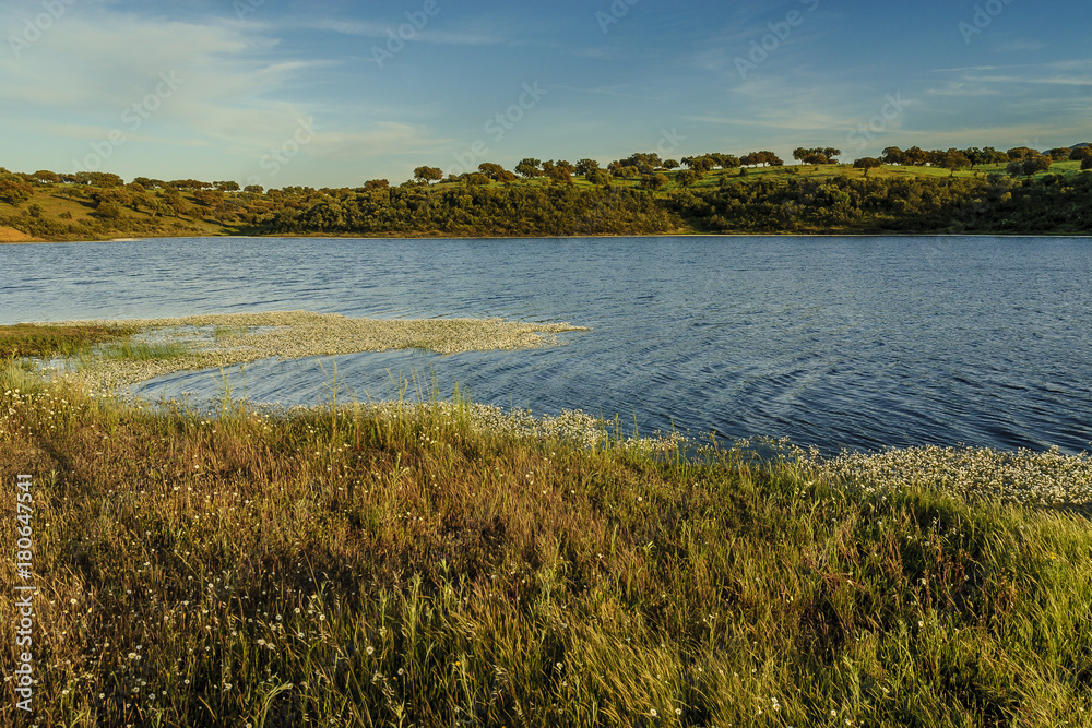 pond in the pastures of the range of Saint Peter in Caceres, Spain. pond in the pastures of the range of Saint Peter in Caceres, Spain.