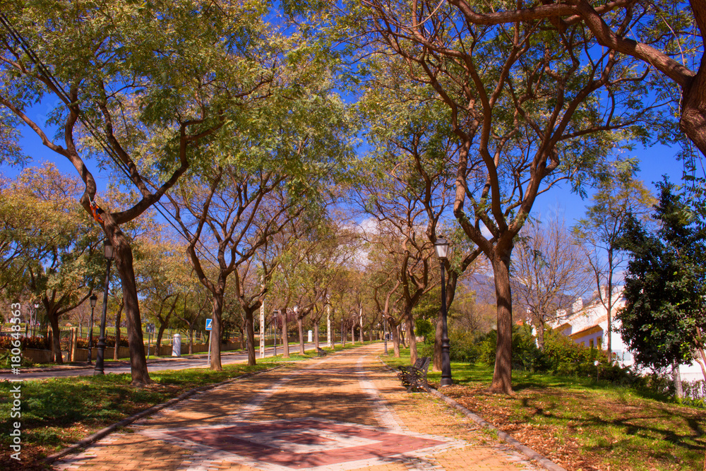 Street. Beautiful Spanish street. Costa del Sol, Andalusia, Spain.