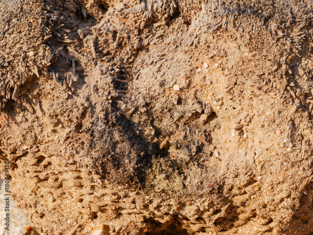 wood surface background wood surface background
