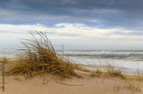 Fototapeta Naklejka Na Ścianę i Meble -  Windswept Dunes and Grasses above Rough Atlantic Surf