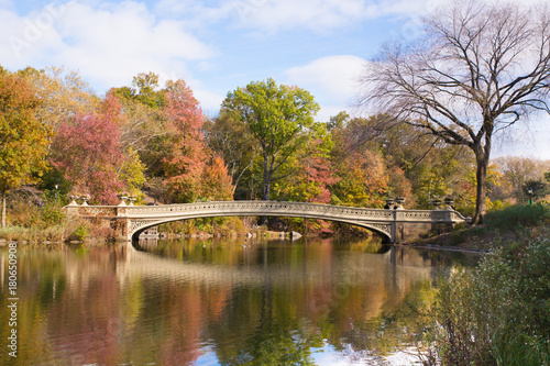 Scenic Bow Bridge in Central Park New York City with colorful autumn leaves © littleny