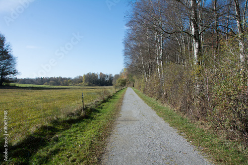Schnurgerader Weg am Waldrand