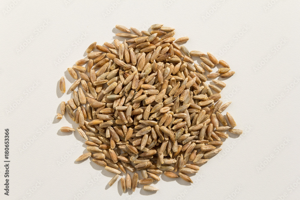 Rye cereal grain. Pile of grains. Top view.