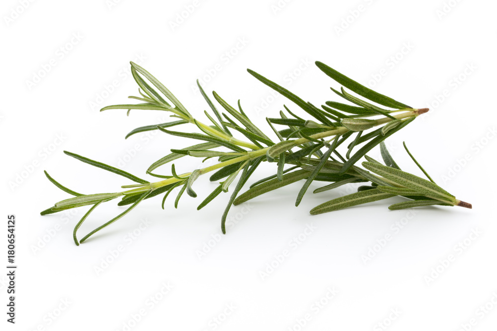 Fototapeta premium Rosemary isolated on white background, Top view.