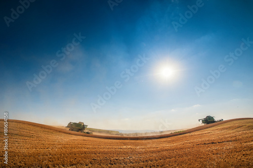 wheat field with tractors landscape