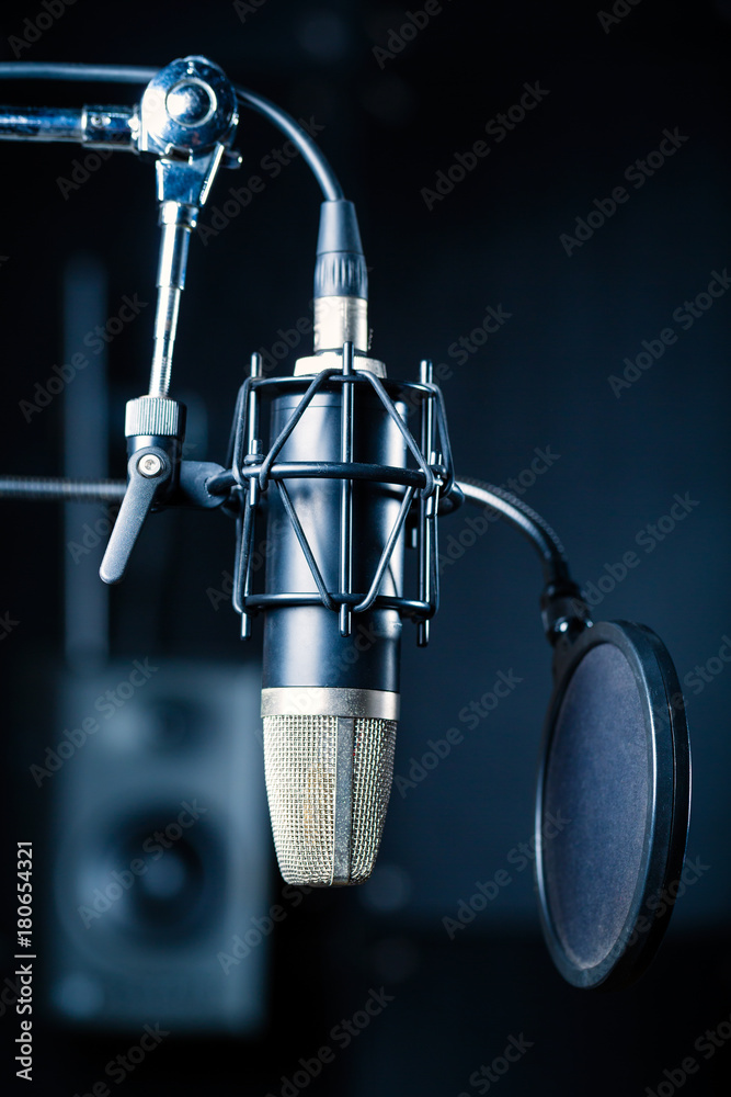 Professional microphone with capacitor or condenser in recording studio