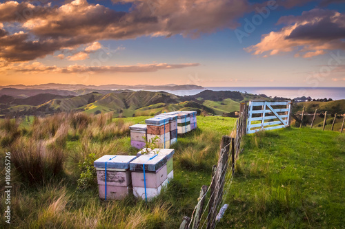 Vintage colored Bee Hives on Top of a Hill in Bay of Islands New Zealand