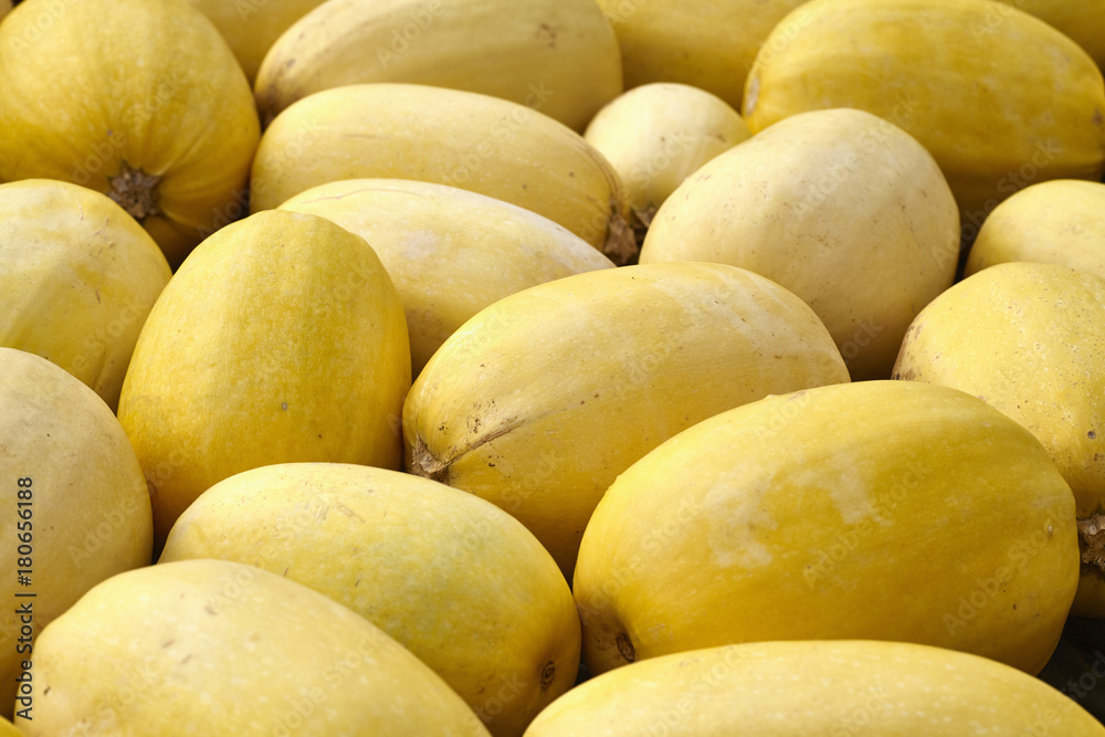 Spaghetti Squashes at a farmer's market. Amish Country, Lancaster County, Pennsylvania, USA Spaghetti Squashes at a farmer's market. Amish Country, Lancaster County, Pennsylvania, USA