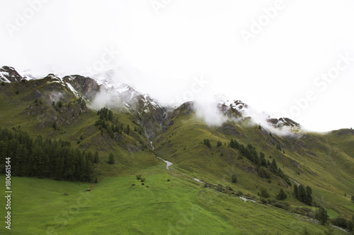 Alpine tree forest on the mountain with Alps highest and most extensive mountain range in Samnaun, Switzerland