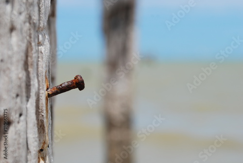 Rusty nail on abandoned quay in Cumuruxatiba Brazil Paulo Mainhard 2014