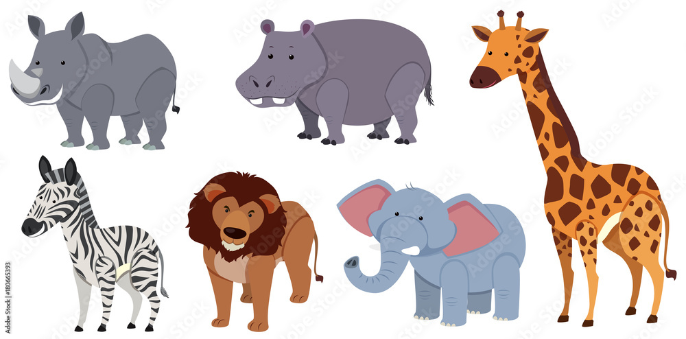 Fototapeta premium Different kinds of animals on white background