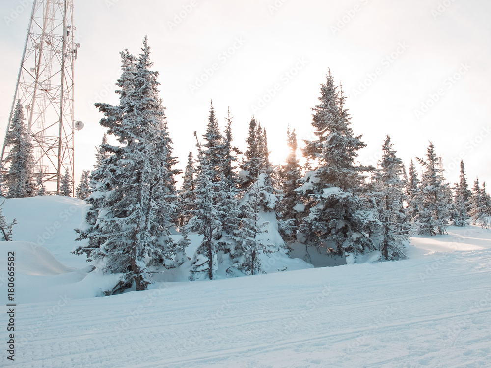 Obraz premium Winter