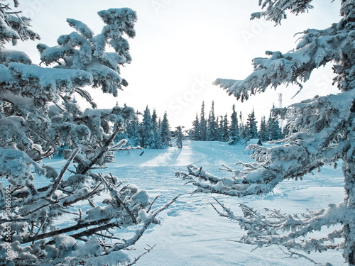Photos Winter