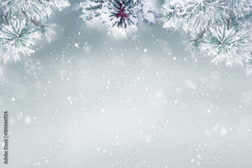 Winter background, falling snow on pine tree copy space © Mariusz Blach