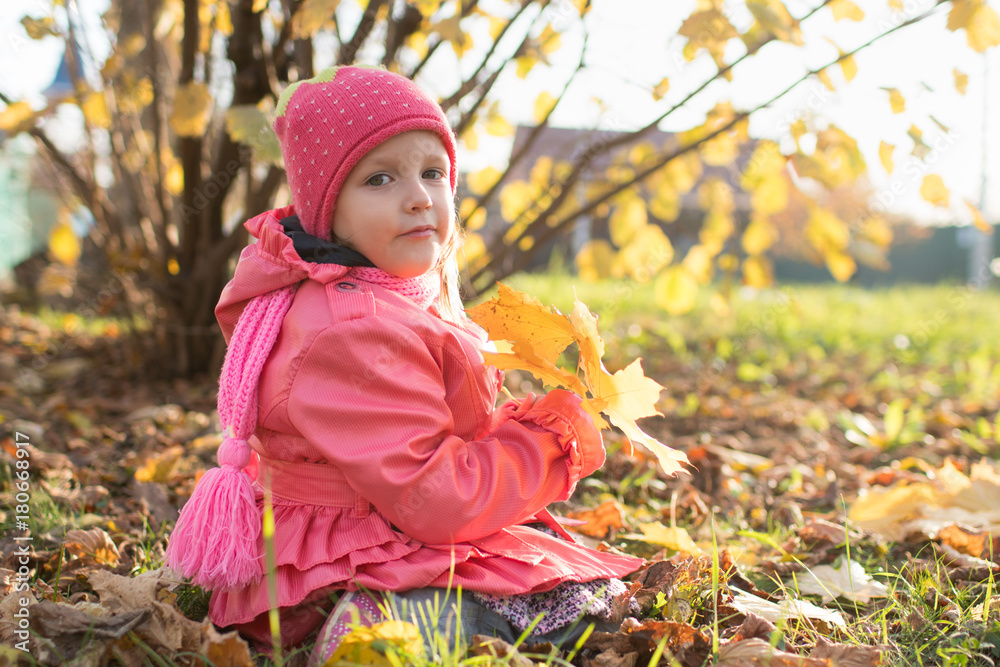 girl collect autumn leaves girl collect autumn leaves
