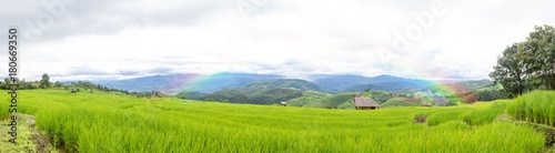 Beautiful Green Rice Field With Blue Sky And Rainbow In The Mountain Background.