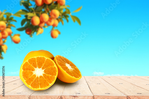 Sliced orange fruit on table in front of orange garden