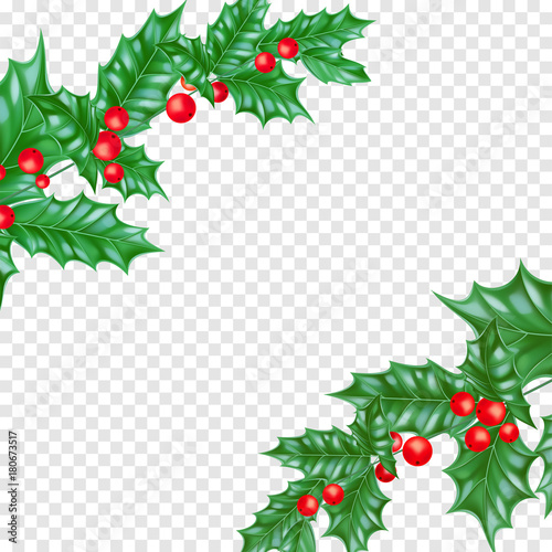 Christmas greeting card template background of holly leaf wreath and Christmas lights garland on New Year fir or pine tree decoration. Vector Christmas tree ornament for New Year winter holiday banner