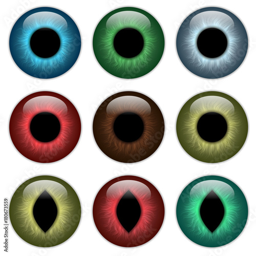 Set pupil, contact lenses