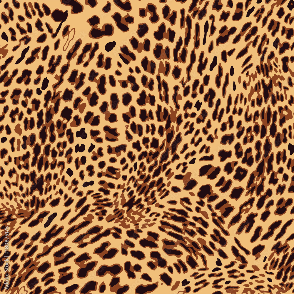 leopard pattern leopard pattern