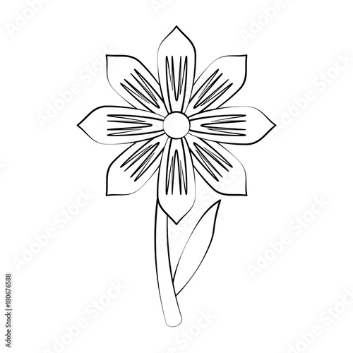 Beautiful flower plant icon vector illustration graphic design