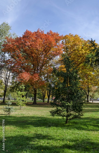 Popular Zaimov park  for rest and walk with autumnal yellow and red foliage, Oborishte district, Sofia, Bulgaria  