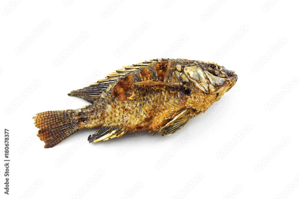 tilapia fried fish isolated on white background tilapia fried fish isolated on white background