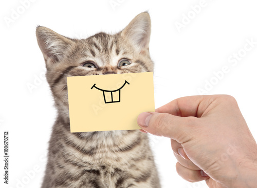 happy cat with funny smile on cardboard isolated on white