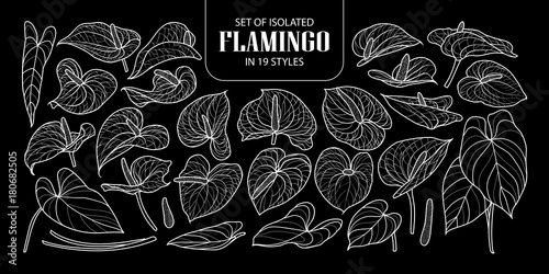Set of isolated Flamingo in 19 styles. Cute hand drawn flower vector illustration only white outline.