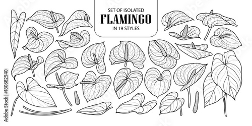 Photos Set of isolated Flamingo in 19 styles
