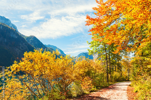 Pathway with yellow autumn trees. Vorderer Langbathsee lake in Austrian Alps.