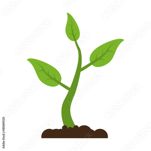 Plant growing from ground icon vector illustration graphic design