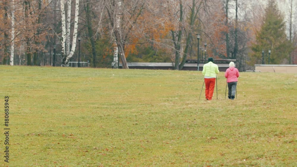 Two senior women in autumn park have nordic walking among autumn cold park Two senior women in autumn park have nordic walking among autumn cold park