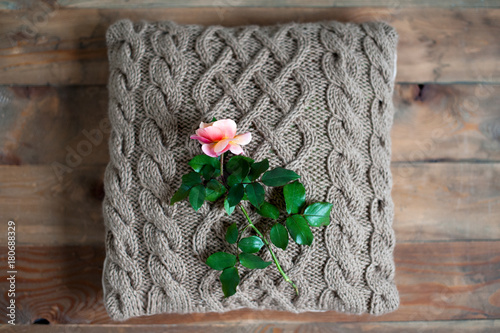 Tableau sur toile Knit cushion and rose on it
