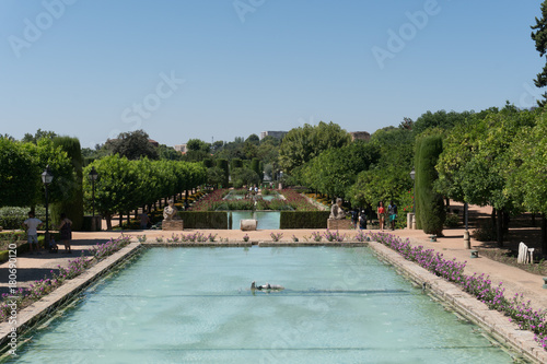 Garden Of The Real Alcazar Of Cordoba Andalucia  Spain