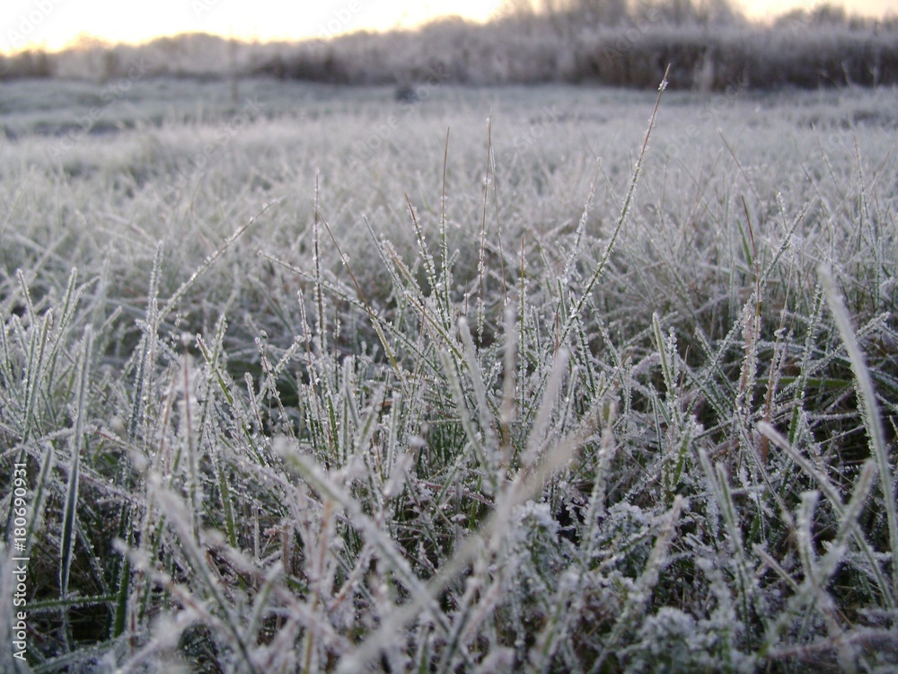 Fototapeta premium nature