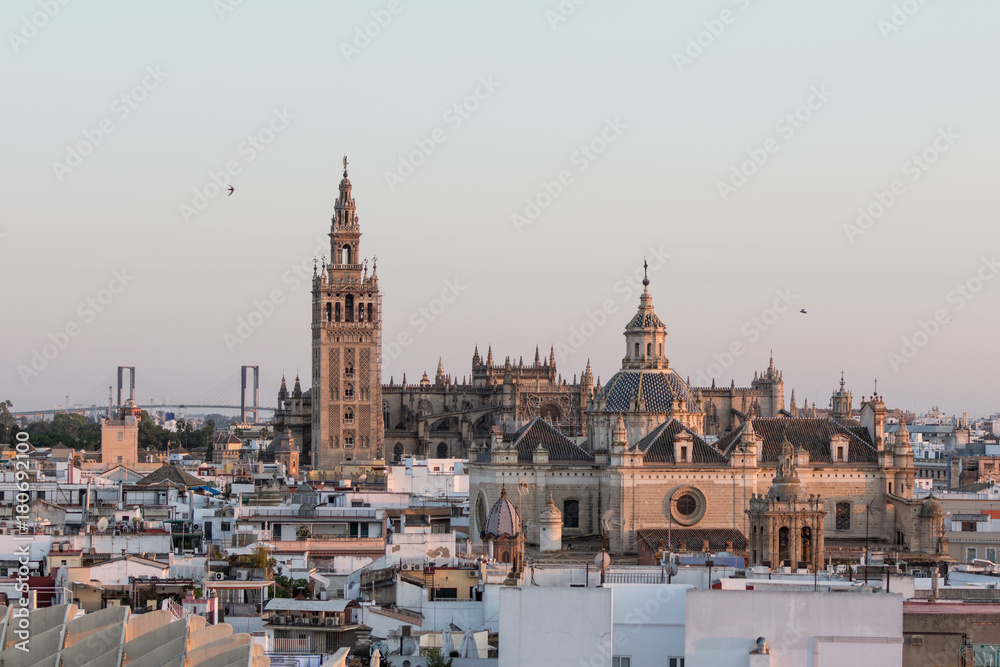 Fototapeta premium Seville Landscape