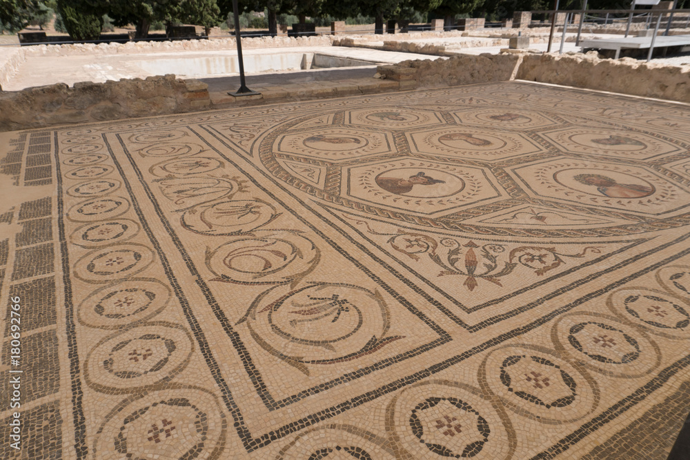 Roman Mosaic Spain