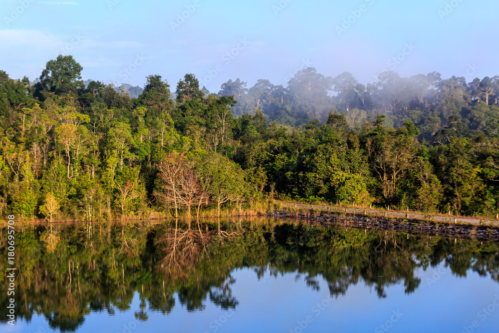 Mist Rising In The Morning over the forest, Trees,such As Wonderland Khaoyai Thailand Mist Rising In The Morning over the forest, Trees,such As Wonderland Khaoyai Thailand