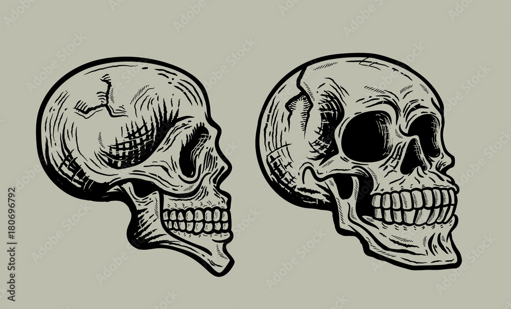2 in 1 Retro vintage skull set. Vector illustration with grey background