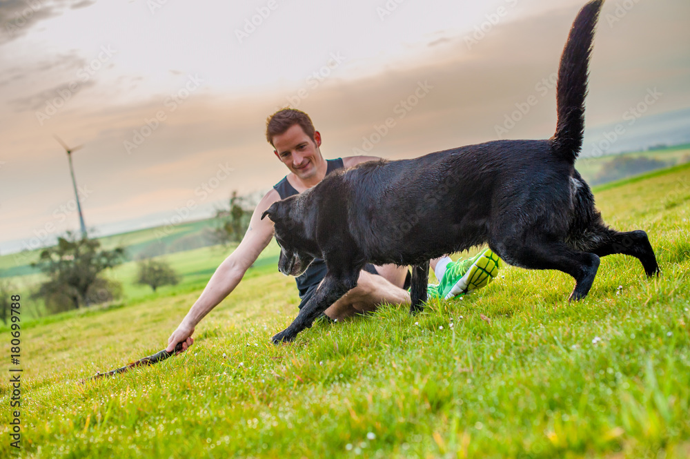 Young man sits on the field with a labrador, at sunset with a view of the windmills Young man sits on the field with a labrador, at sunset with a view of the windmills