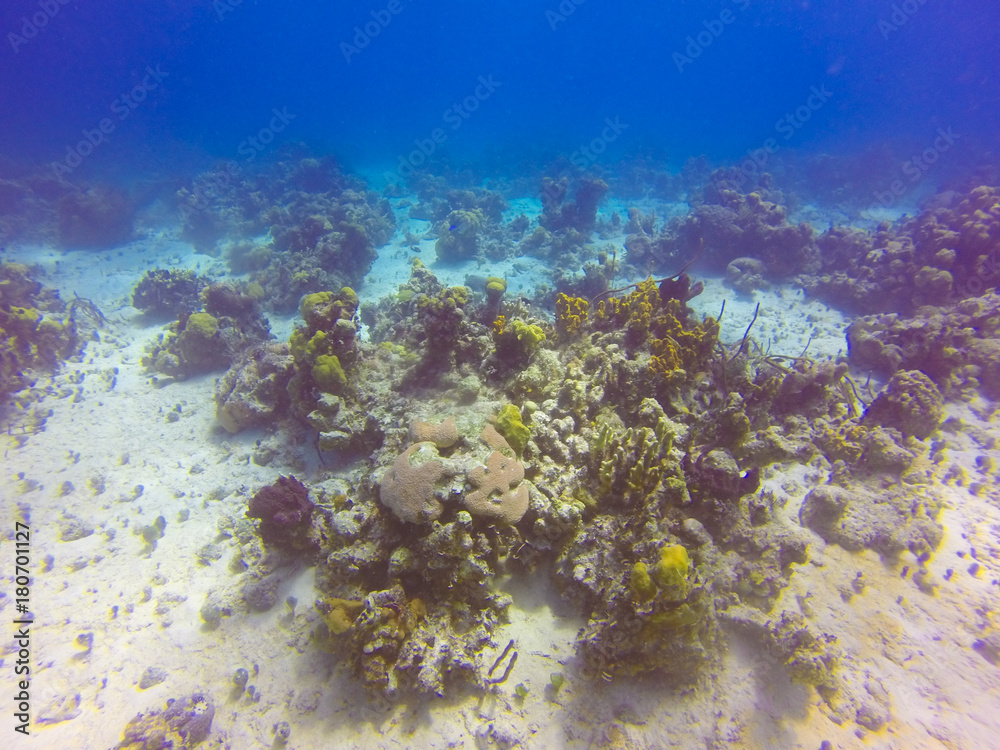 Naklejka premium Scuba Diving Bay of Pigs