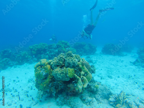 Photography Scuba Diving Bay of Pigs