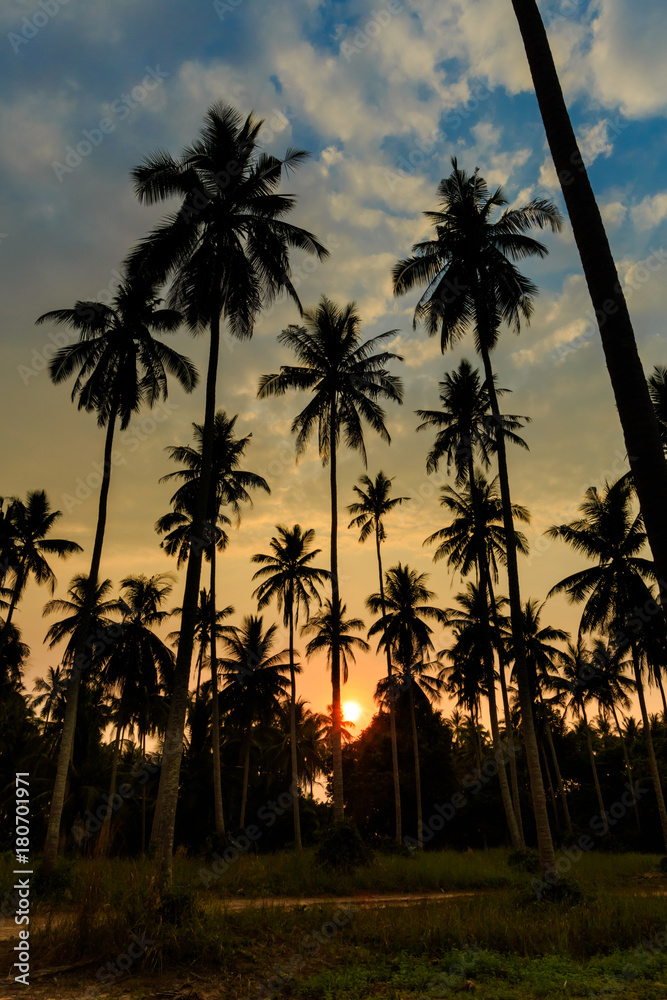 Obraz premium Tropical landscape of Koh Kood